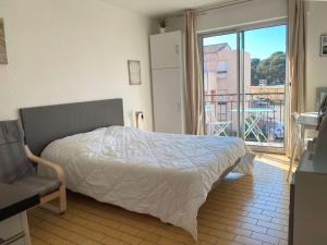 Appartements Studio renove climatise avec balcon, parking et wifi a Balaruc-les-Bains - FR-1-553-66 : photos des chambres
