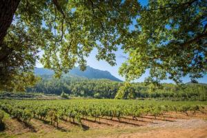 Villas Engardin, un havre de paix en Provence Verte : photos des chambres