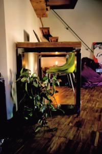 G.A.P. genova aquarium pentahouse