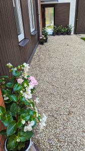 Pine forest house 8