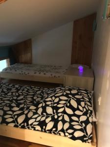 Appartements Le Petit Eterlou : photos des chambres