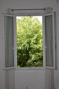 B&B / Chambres d'hotes chambre d hote spacieuse avec cour junas gard : photos des chambres