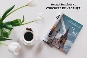 HY 2 SIBIU - Moichen