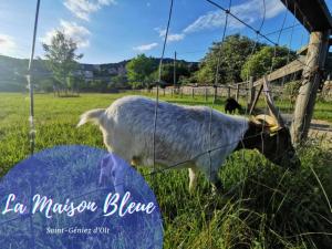 Appartements La Maison Bleue, village vacances, piscine, parking : photos des chambres