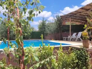 Chambre d'hôtes aya - Azilal