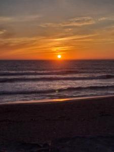 Little Paradise AL - Fão