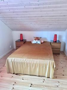 Strandnära skärgårdshus