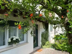 Le Gardenie di Tito - Mazzocco