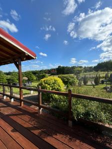 Krecia Dolina - Kaszubskie Wzgórza