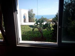 Appartamento al mare nepole 2