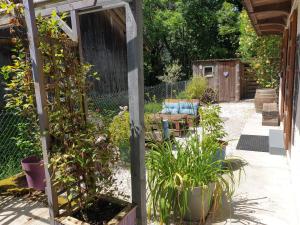 Appartements Le Chalet du BioT : photos des chambres