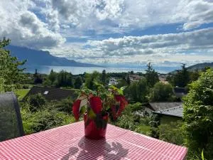 L'Appart Riviera vue panoramique - 沙泰勒圣但尼