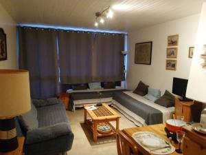 Studio cosy avec balcon, 20m des remontées mécaniques, plein centre Châtel, idéal 3 pers. - FR-1-676-113