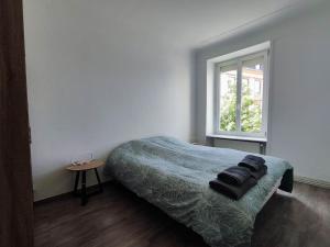 Appartements #Auje - Appart Mulhouse Centre : Appartement 2 Chambres