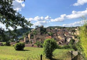 Maisons de vacances Des Chateaux entre les Feuilles - Parc vue Village : photos des chambres