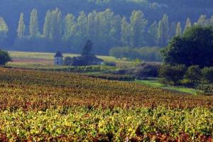 Maisons de vacances Des Chateaux entre les Feuilles - Parc vue Village : photos des chambres
