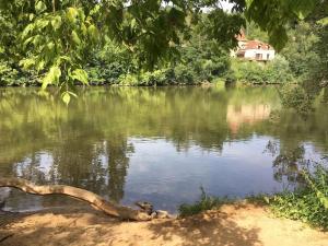 Maisons de vacances Des Chateaux entre les Feuilles - Parc vue Village : photos des chambres