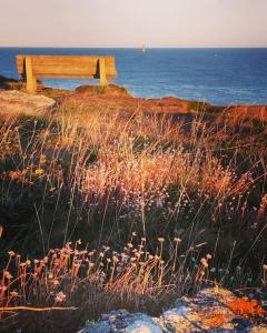 Appartements Oyat gite ecologique a Porspoder : photos des chambres