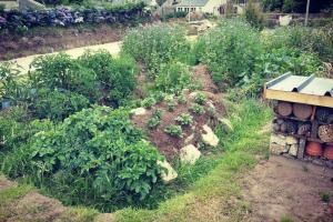 Appartements Oyat gite ecologique a Porspoder : photos des chambres