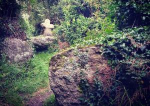 Appartements Oyat gite ecologique a Porspoder : photos des chambres