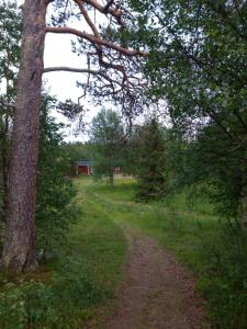 Rustic Old Lakeside Cottage at Sevettijärvi