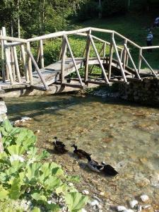 Autocamp & Apartment Snežana