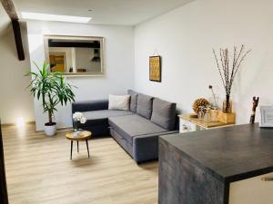 VIP Apartment in Old Town with free parking