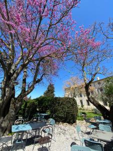 Hotels Logis Hotel Chateau De Palaja : photos des chambres