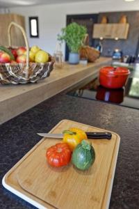 Villas Un joli hameau au coeur du vignoble de l'Escarelle et de la Provence Verte : photos des chambres