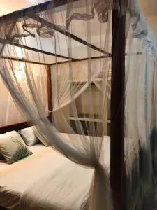 Luminous Home Stay - 陶尔佩