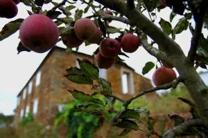 Quinta de Gildinho - Gildinho
