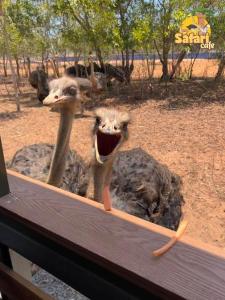 Novaworld Beach villa