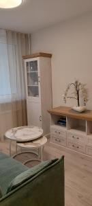 Cozy Kaunas apartment