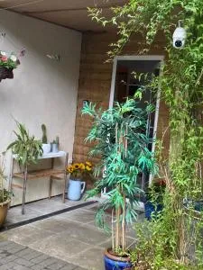 Hillside Launceston Cornwall - Tresmeer