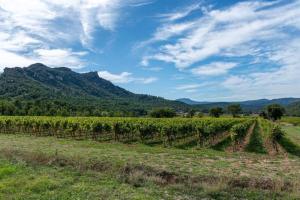 Villas Un joli hameau au coeur du vignoble de l'Escarelle et de la Provence Verte : photos des chambres
