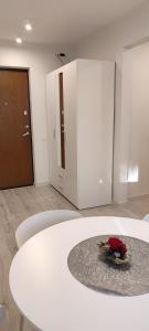 Cozy Kaunas apartment