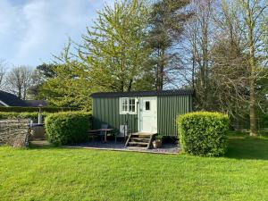 Hut room in Dawn Chorus Holidays
