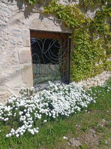 Appartements Gite Sainte Croix en Jarez, Le Val des Equins : photos des chambres