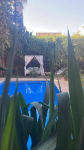 Magnifique villa 5 chambres à Gueliz au Centre de Marrakech