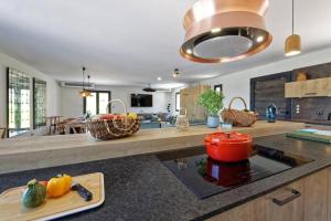 Villas Un joli hameau au coeur du vignoble de l'Escarelle et de la Provence Verte : photos des chambres