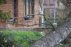Klein aber fein, Ferienhaus am Tonteich
