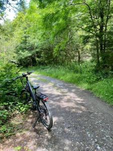 Spacious Coastal Gwbert Holiday Rental