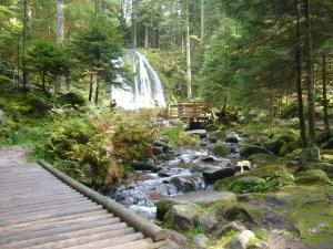 Maisons de vacances Chalet luxe 13 personnes SPA SAUNA VOSGES-GERARDMER : photos des chambres