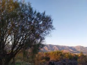 Il Calice dell'Etna - Passopisciaro