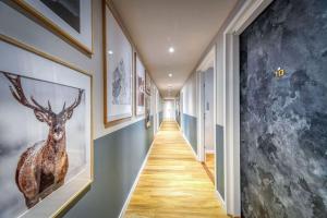 RApparts Studio Le Luxury N3