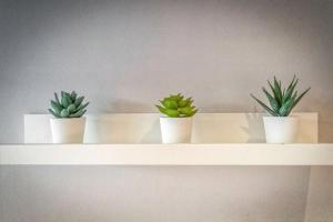 RApparts Studio Le Luxury N3