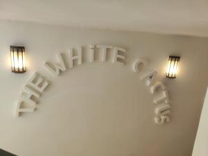 Riad White Cactus