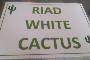 Riad White Cactus