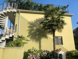 Xhou's Home - Shkodër