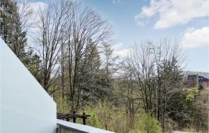 Pet Friendly Apartment